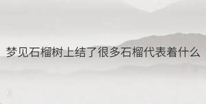 簡單 - 2022-12-12T133126.442.jpg