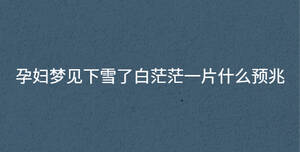 深色背景 - 2022-12-13T145917.086.jpg