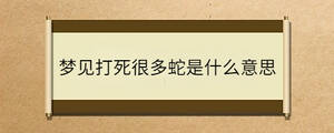 問答 - 2022-12-15T112318.563.jpg