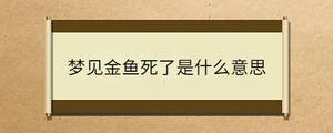 問答 - 2022-12-16T142340.844.jpg