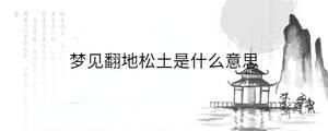 背景圖 - 2022-12-20T144518.718.jpg