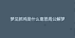 深色背景 - 2023-01-03T103651.274.jpg