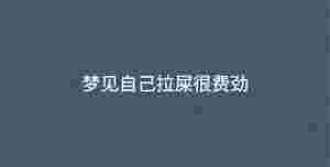 深色背景 - 2023-01-05T142311.664.jpg