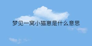 簡約藍色背景 - 2023-02-01T131903.338.jpg