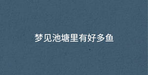 深色背景 - 2023-02-04T155710.608.jpg