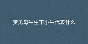 深色背景 - 2023-02-04T150957.074.jpg