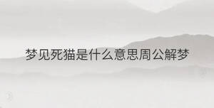 簡單 - 2023-02-04T144645.167.jpg