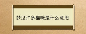 問答 - 2023-02-16T155524.452.jpg