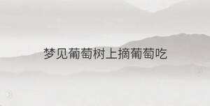 簡單 - 2023-02-16T143303.376.jpg