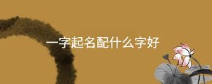 起名 - 2023-02-20T095607.330.jpg
