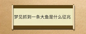 問答 - 2023-02-27T152246.548.jpg