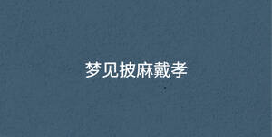 深色背景 - 2023-02-27T154933.858.jpg