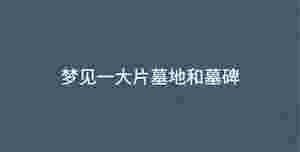 深色背景 - 2023-03-13T095955.683.jpg