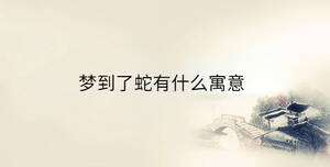 傳統 - 2023-03-28T093427.464.jpg