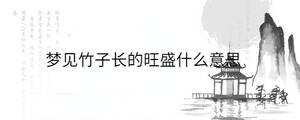 背景圖 - 2023-04-01T151038.889.jpg