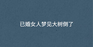 深色背景 - 2023-04-04T150836.652.jpg