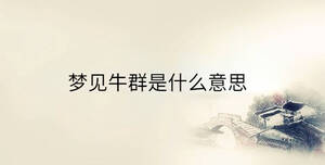 傳統(tǒng) - 2023-04-12T145046.909.jpg