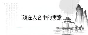 背景圖 - 2023-04-17T113557.233.jpg