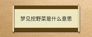 問答 - 2023-04-19T150650.232.jpg