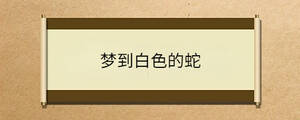 問(wèn)答 - 2023-04-20T155245.103.jpg