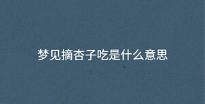 深色背景 - 2023-04-21T140548.382.jpg