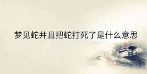 傳統 - 2023-04-22T102611.572.jpg