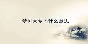 傳統(tǒng) - 2023-04-25T134630.770.jpg