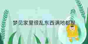 夢見家里很亂東西滿地都是