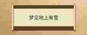 夢見地上有雪