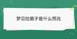 夢(mèng)見(jiàn)撿菌子是什么預(yù)兆