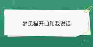 夢見貓開口和我說話