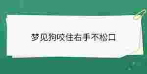 夢(mèng)見狗咬住右手不松口