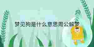 夢見狗是什么意思周公解夢