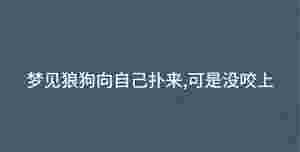 夢見狼狗向自己撲來,可是沒咬上