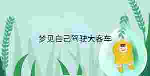 夢見自己駕駛大客車