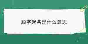 順字起名是什么意思