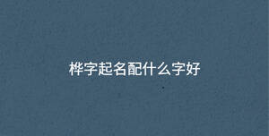 深色背景 - 2023-05-09T144913.589.jpg