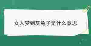 女人夢到灰兔子是什么意思