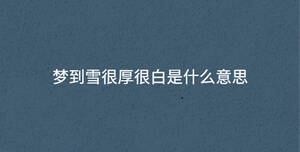 深色背景 - 2023-05-10T133821.444.jpg