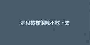 深色背景 - 2023-05-12T093304.670.jpg