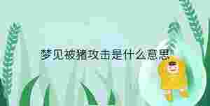 夢見被豬攻擊是什么意思
