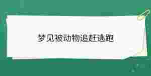 夢(mèng)見(jiàn)被動(dòng)物追趕逃跑