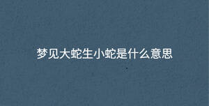 深色背景 (37).jpg