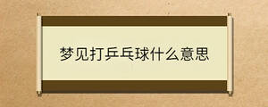 夢見打乒乓球什么意思