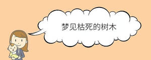 寶寶取名 (41).jpg
