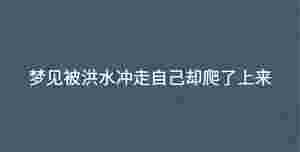 深色背景 (54).jpg