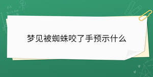 夢見被蜘蛛咬了手預示什么