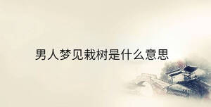 男人夢見栽樹是什么意思
