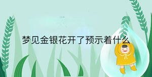夢(mèng)見(jiàn)金銀花開(kāi)了預(yù)示著什么