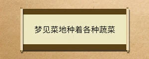 夢(mèng)見(jiàn)菜地種著各種蔬菜
